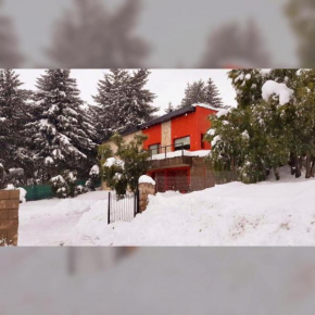 Calafate Tempo